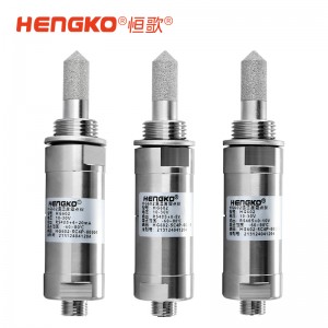 恒歌定制RS485露點測量儀_響應(yīng)快測量精準檔案室露點記錄儀